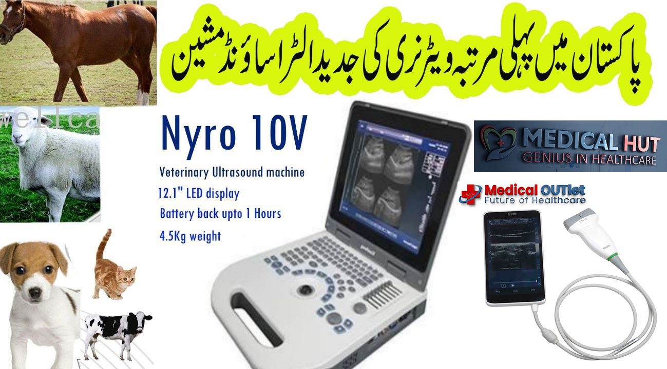 Portable Veterinary Ultrasound Machine Price - Veterinary ultrasound machine  - Nyro 10V Price - SurgicalHUT® - Surgical HUT Pakistan