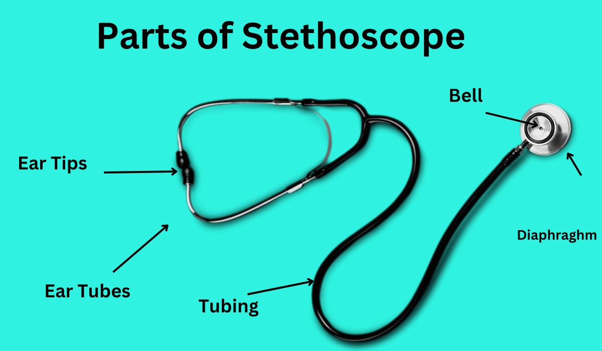 Parts of stethoscopes with label